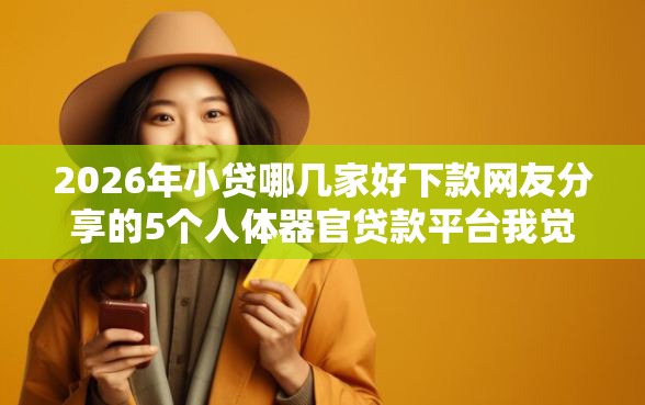 2026年小贷哪几家好下款网友分享的5个人体器官贷款平台我觉得不错！