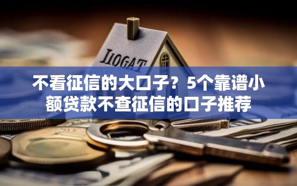 不看征信的大口子？5个靠谱小额贷款不查征信的口子推荐