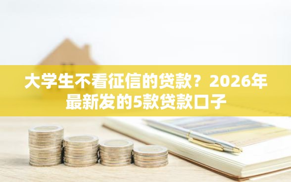 大学生不看征信的贷款？2026年最新发的5款贷款口子