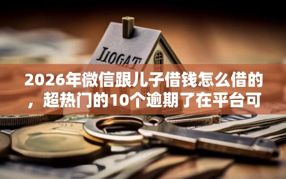 2026年微信跟儿子借钱怎么借的，超热门的10个逾期了在平台可以借到钱推荐