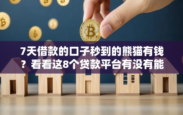 7天借款的口子秒到的熊猫有钱？看看这8个贷款平台有没有能下款的