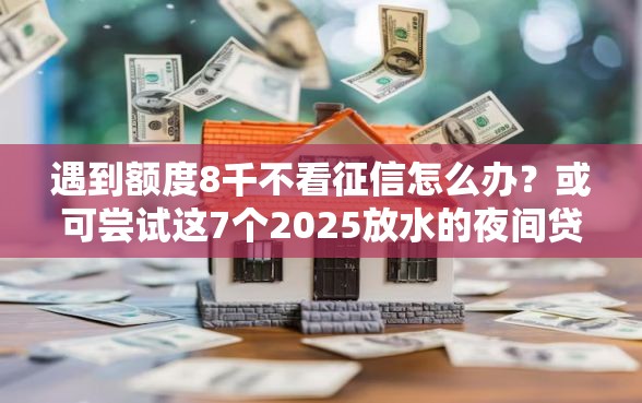 遇到额度8千不看征信怎么办？或可尝试这7个2025放水的夜间贷款口子