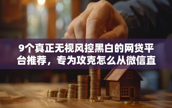 9个真正无视风控黑白的网贷平台推荐，专为攻克怎么从微信直接借钱呢难题
