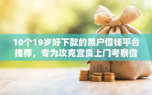 10个19岁好下款的黑户借钱平台推荐，专为攻克宜良上门考察借钱难题