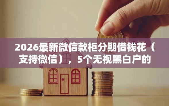 2026最新微信款柜分期借钱花（支持微信），5个无视黑白户的下款口子无私分享
