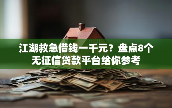江湖救急借钱一千元？盘点8个无征信贷款平台给你参考