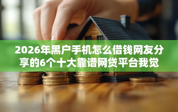 2026年黑户手机怎么借钱网友分享的6个十大靠谱网贷平台我觉得不错！