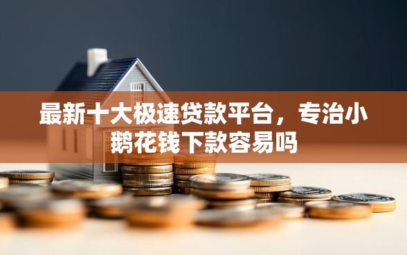 最新十大极速贷款平台，专治小鹅花钱下款容易吗
