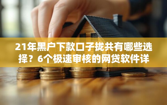 21年黑户下款口子拢共有哪些选择？6个极速审核的网贷软件详解
