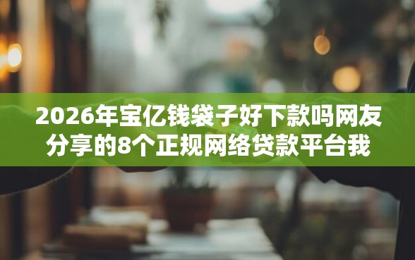 2026年宝亿钱袋子好下款吗网友分享的8个正规网络贷款平台我觉得不错！
