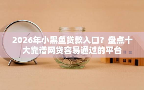 2026年小黑鱼贷款入口？盘点十大靠谱网贷容易通过的平台