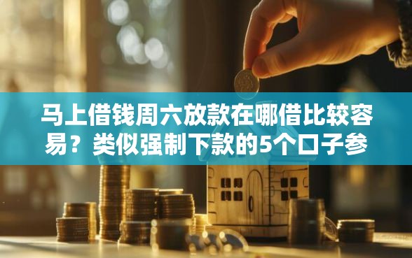 马上借钱周六放款在哪借比较容易？类似强制下款的5个口子参考