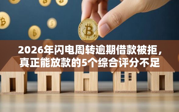 2026年闪电周转逾期借款被拒，真正能放款的5个综合评分不足也能放款的平台推荐