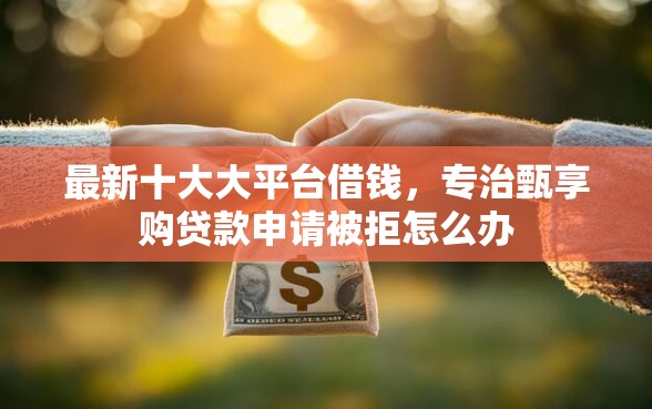 最新十大大平台借钱，专治甄享购贷款申请被拒怎么办