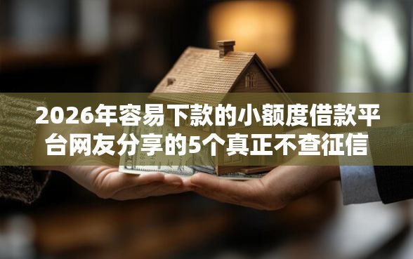 2026年容易下款的小额度借款平台网友分享的5个真正不查征信的贷款软件我觉得不错！