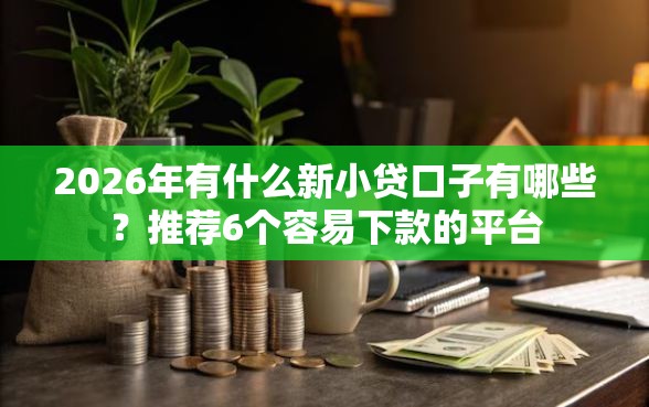 2026年有什么新小贷口子有哪些？推荐6个容易下款的平台