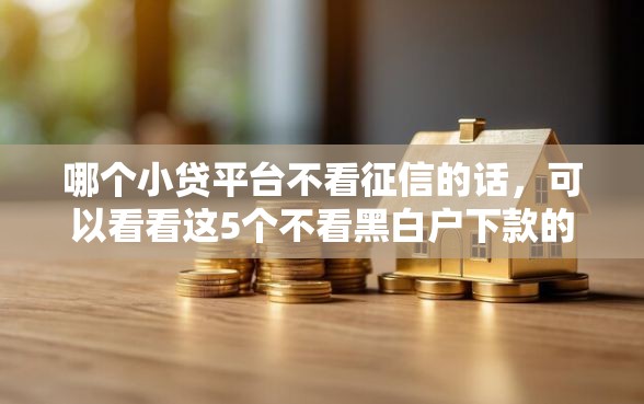 哪个小贷平台不看征信的话，可以看看这5个不看黑白户下款的网贷