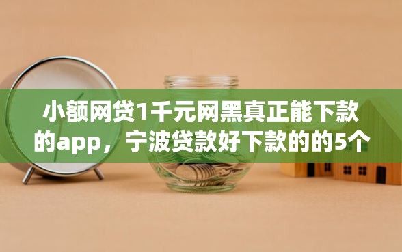 小额网贷1千元网黑真正能下款的app，宁波贷款好下款的的5个平台介绍