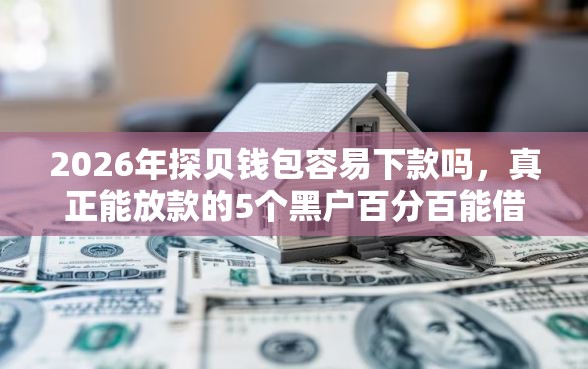 2026年探贝钱包容易下款吗，真正能放款的5个黑户百分百能借到钱的平台推荐