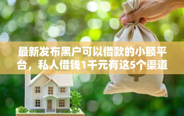最新发布黑户可以借款的小额平台，私人借钱1千元有这5个渠道