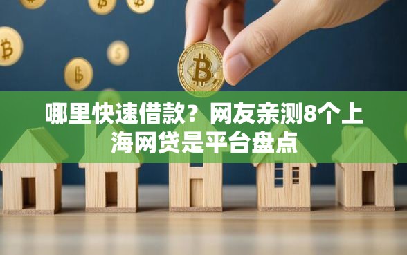 哪里快速借款？网友亲测8个上海网贷是平台盘点