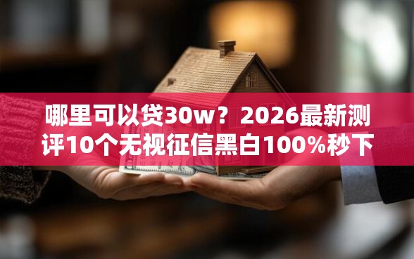哪里可以贷30w？2026最新测评10个无视征信黑白100%秒下口子