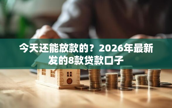 今天还能放款的？2026年最新发的8款贷款口子