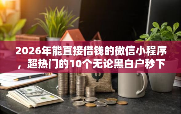 2026年能直接借钱的微信小程序，超热门的10个无论黑白户秒下款的贷款平台推荐