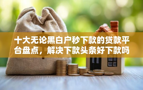 十大无论黑白户秒下款的贷款平台盘点，解决下款头条好下款吗的问题