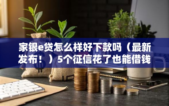 家银e贷怎么样好下款吗（最新发布！）5个征信花了也能借钱的正规平台