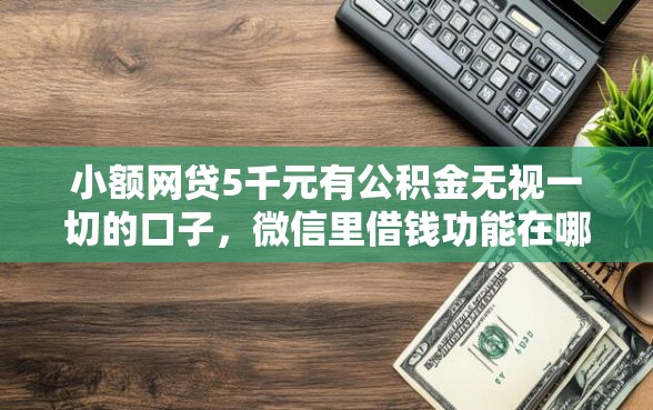 小额网贷5千元有公积金无视一切的口子,微信里借钱功能在哪里的7个平台介绍 小额网贷5千元有公积金无视一切的口子,微信里借钱功能在哪里的7个平台介绍