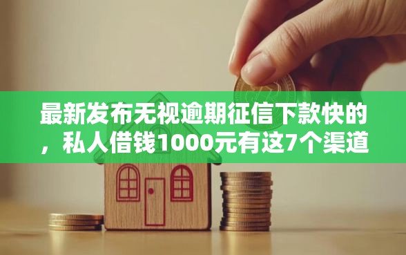 最新发布无视逾期征信下款快的，私人借钱1000元有这7个渠道