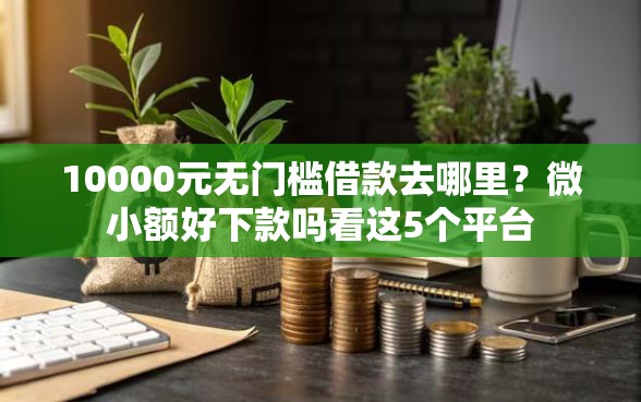 10000元无门槛借款去哪里？微小额好下款吗看这5个平台