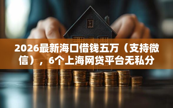2026最新海口借钱五万（支持微信），6个上海网贷平台无私分享