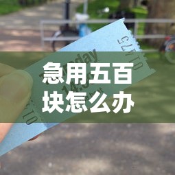 急用五百块怎么办？8个平台试试看哪个能下款
