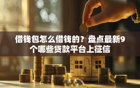 借钱包怎么借钱的？盘点最新9个哪些贷款平台上征信