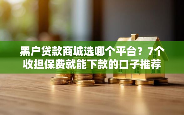 黑户贷款商城选哪个平台？7个收担保费就能下款的口子推荐