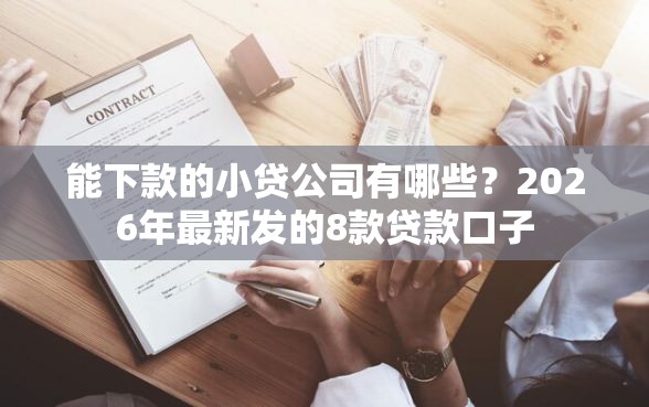 能下款的小贷公司有哪些？2026年最新发的8款贷款口子
