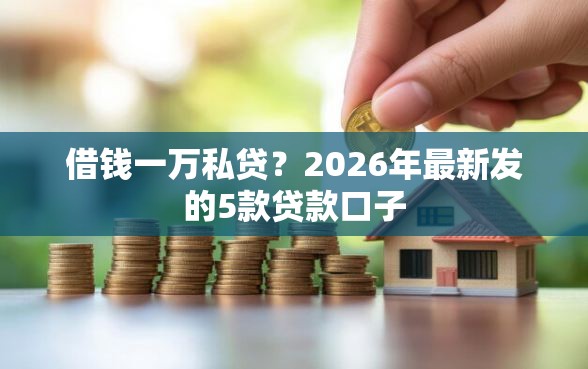 借钱一万私贷？2026年最新发的5款贷款口子