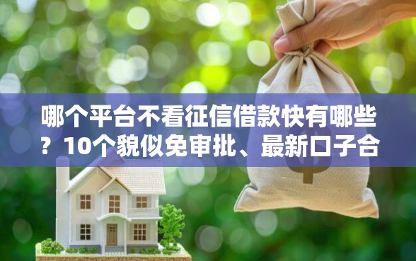 哪个平台不看征信借款快有哪些？10个貌似免审批、最新口子合集
