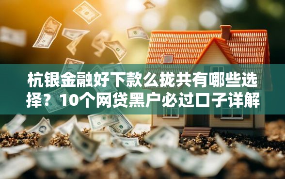 杭银金融好下款么拢共有哪些选择？10个网贷黑户必过口子详解