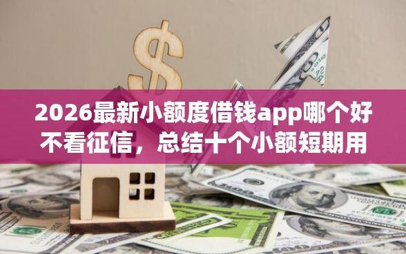 2026最新小额度借钱app哪个好不看征信，总结十个小额短期用钱平台好！