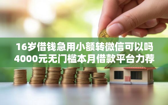 16岁借钱急用小额转微信可以吗4000元无门槛本月借款平台力荐!分享小额网贷口子4000元无门槛借款 16岁借钱急用小额转微信可以吗4000元无门槛本月借款平台力荐!分享小额网贷口子4000元无门槛借款