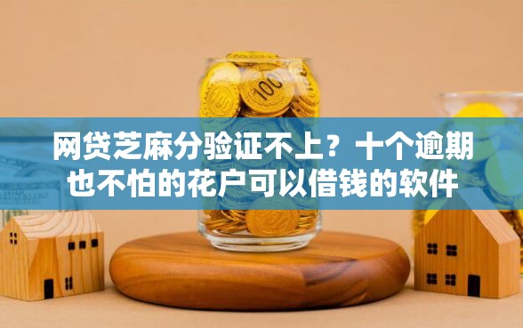 网贷芝麻分验证不上？十个逾期也不怕的花户可以借钱的软件