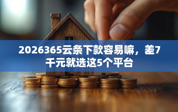 2026365云条下款容易嘛，差7千元就选这5个平台