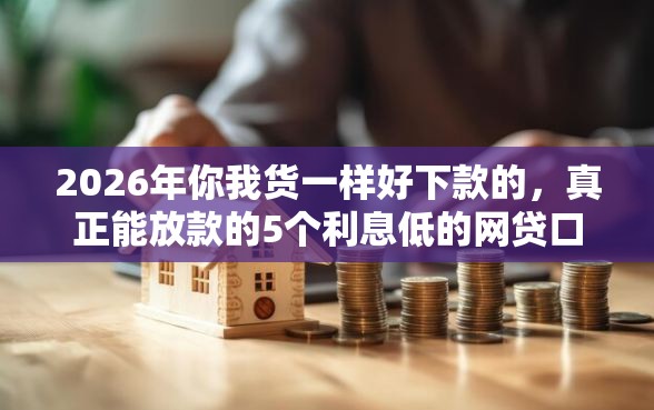 2026年你我货一样好下款的，真正能放款的5个利息低的网贷口子推荐