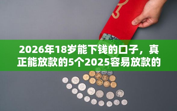 2026年18岁能下钱的口子，真正能放款的5个2025容易放款的口子推荐