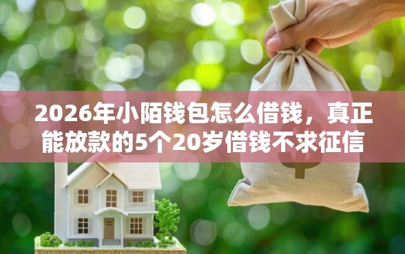 2026年小陌钱包怎么借钱，真正能放款的5个20岁借钱不求征信速借软件推荐