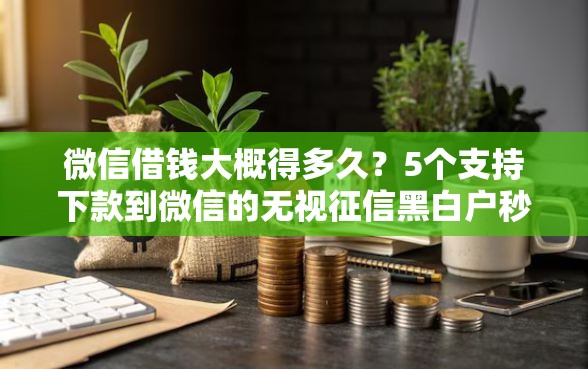 微信借钱大概得多久?5个支持下款到微信的无视征信黑白户秒下款的贷款 微信借钱大概得多久?5个支持下款到微信的无视征信黑白户秒下款的贷款