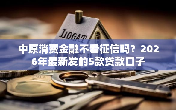 中原消费金融不看征信吗？2026年最新发的5款贷款口子